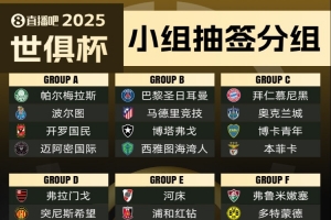 世俱杯参赛队伍按国家联赛分布：共20国联赛球队参加 巴西4队最多