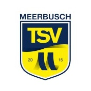 VFB汉堡格