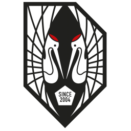飞鸟FC