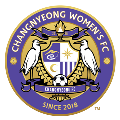首尔亚马逊女足